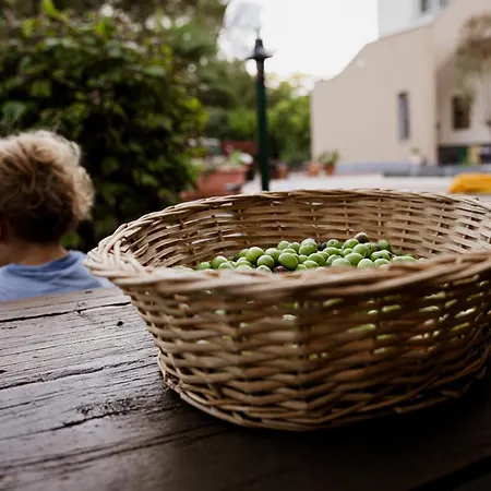 Bed and Breakfast Le Pernici Mascalucia