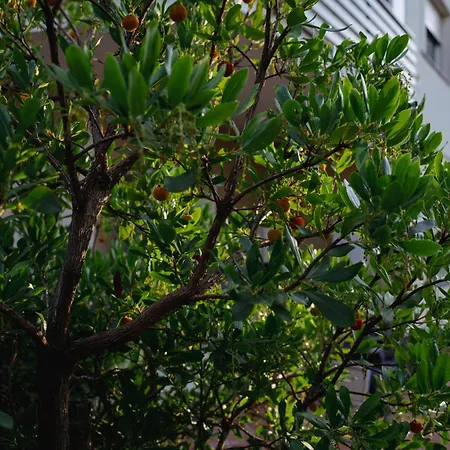 Le Pernici Bed and Breakfast *